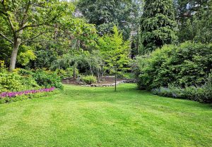 Optimiser l'expérience du jardin à Radonvilliers